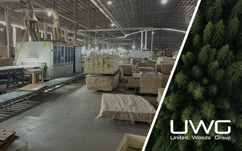 Standardized Workflows