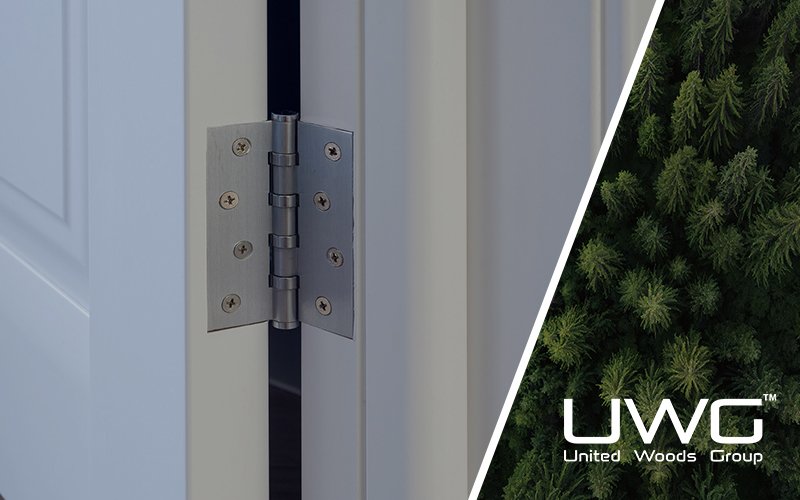 Interior door hinge installed on a white door and frame