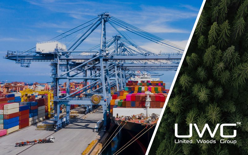 ocean freight shipping construction materials