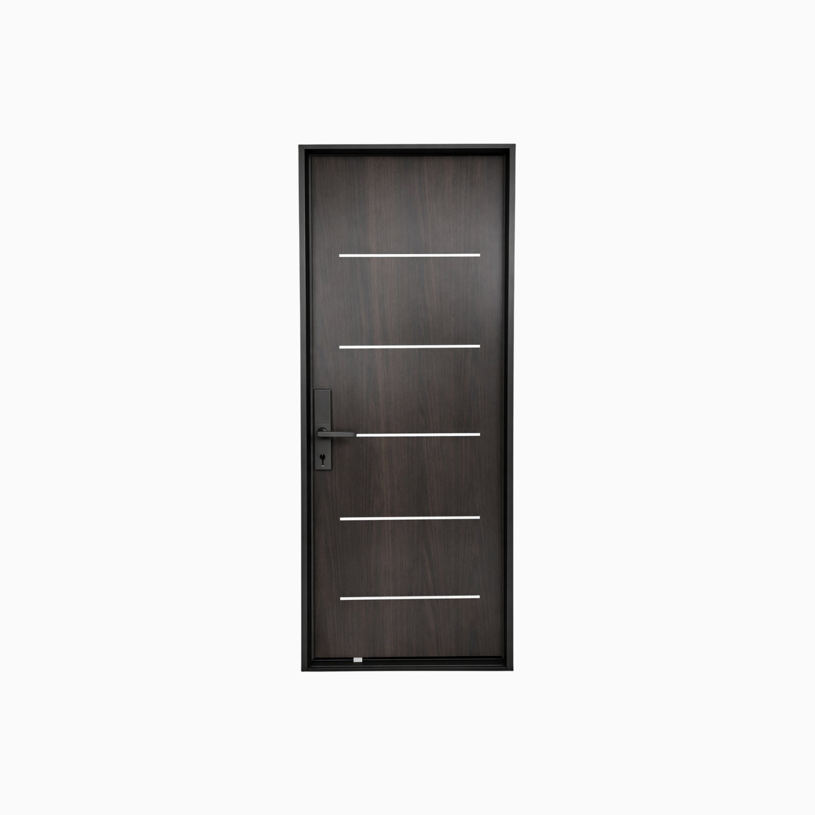 Steel Door-Flush-Black