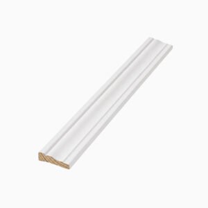 WM356 Casing