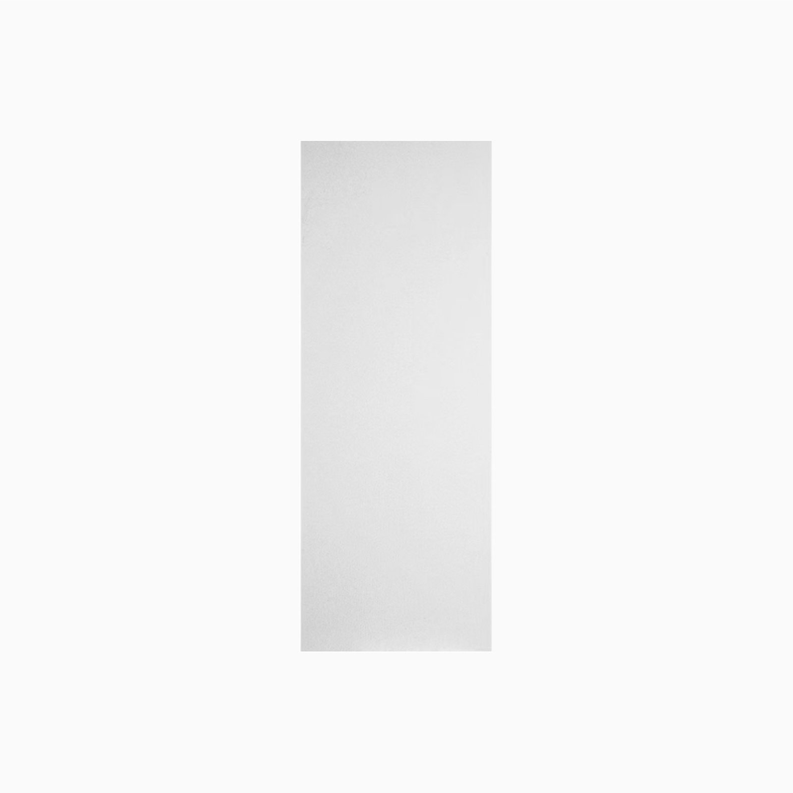 Flush Molded Door